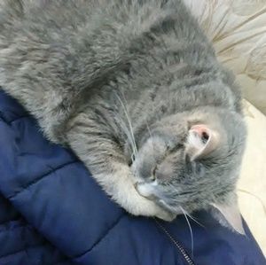 Meet your Posher, Mikayla